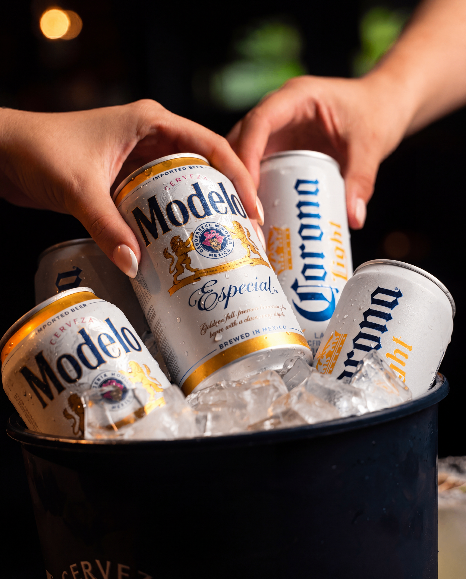 Ice-cold bucket of Modelo and Corona Light beers at Agave Bandido